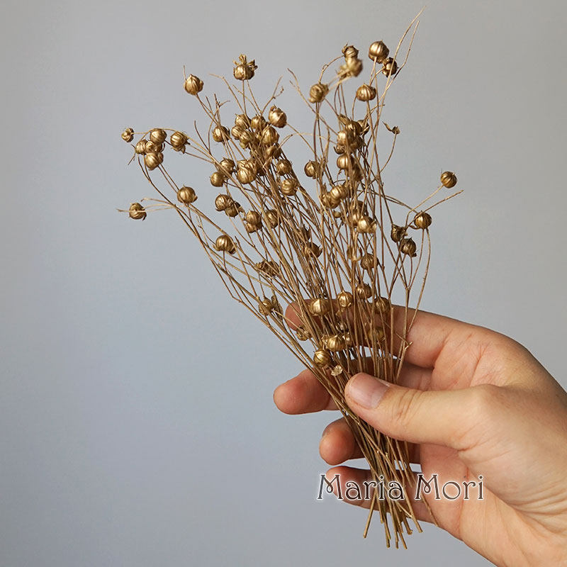 5g Preserved Flax Bean Natural - Candle Making Supplies Online incelemesi ve fiyatı